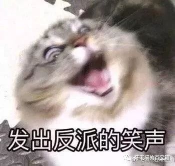 海南自駕游開車注意事項_開車去海南攻略_開車去海南劃算嗎