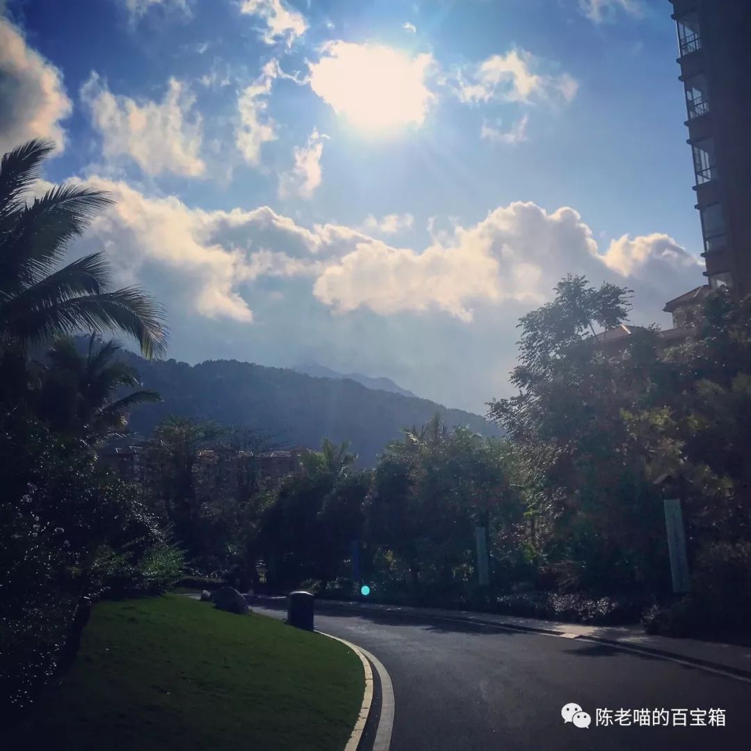 開車去海南攻略_開車去海南劃算嗎_海南自駕游開車注意事項