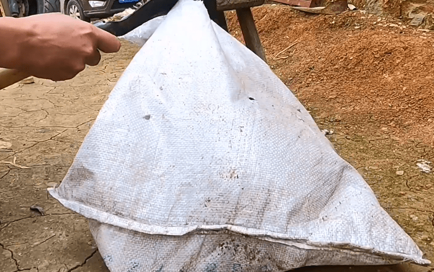 小哥500撿漏賣到一只虎斑犬，轉(zhuǎn)眼就有人愿花800買它，可網(wǎng)友對它卻滿是爭議