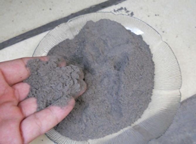 長壽花是多肉嗎_長壽花是多肉嗎_長壽花是多肉嗎