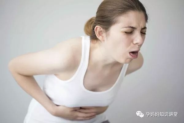 狗狗懷孕吃些什么營養品_狗狗懷孕吃什么有營養_狗狗懷孕吃什么有營養飯