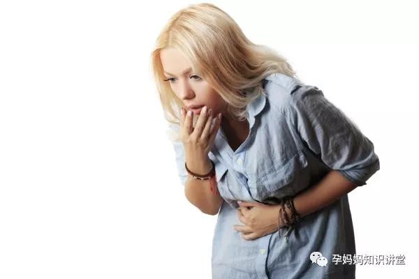 狗狗懷孕吃什么有營養_狗狗懷孕吃些什么營養品_狗狗懷孕吃什么有營養飯