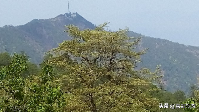 攀枝花旅游攻略自駕游_春節(jié)攀枝花自駕游攻略_攀枝花自駕一日游哪里好玩