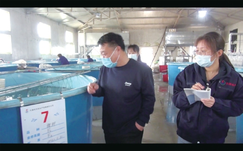 多彩觀賞魚涌動財富潮