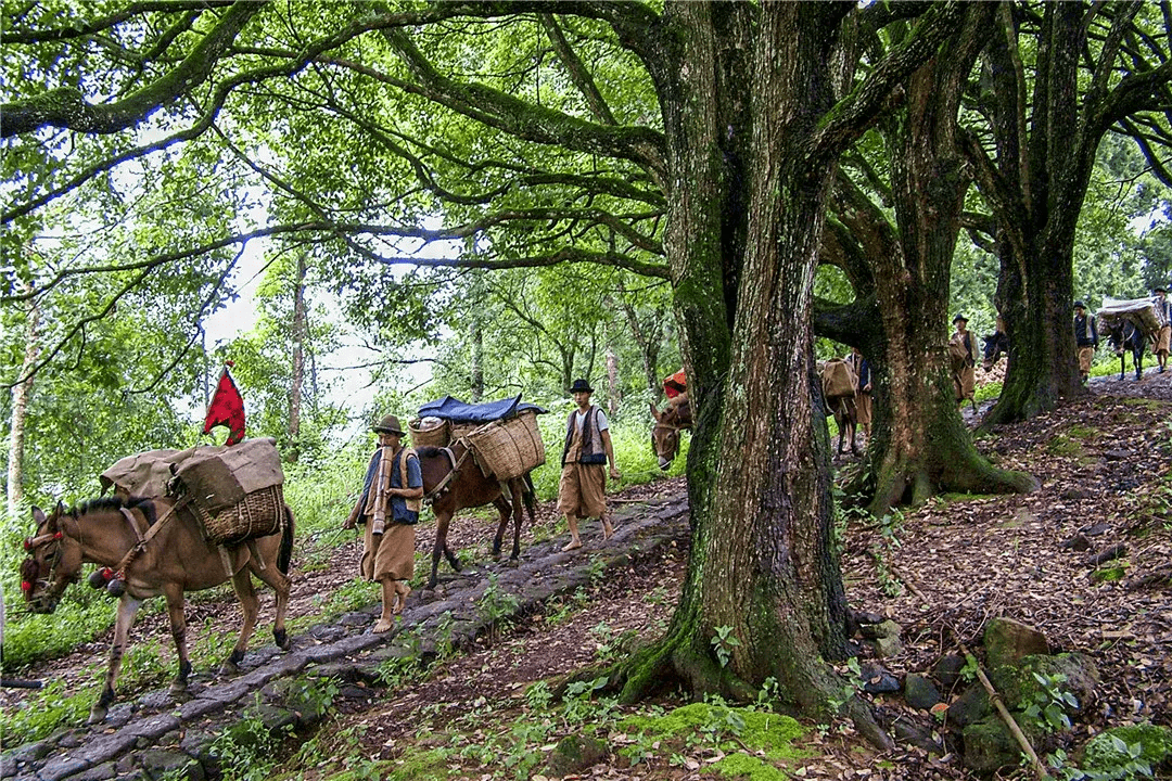 攀枝花周邊自駕一日游_攀枝花旅游攻略自駕游_攀枝花附近自駕游