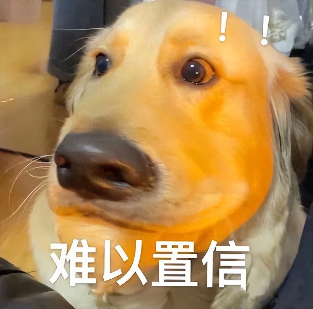 老一輩的人提醒：這些狗狗“不吉利”，千萬別隨意養！