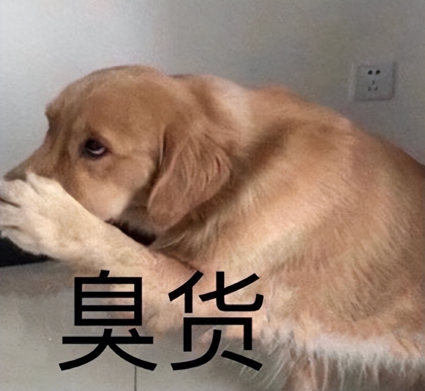 脾氣最好的7種狗狗排名_十種脾氣最好的狗_脾氣好的狗有什么特征