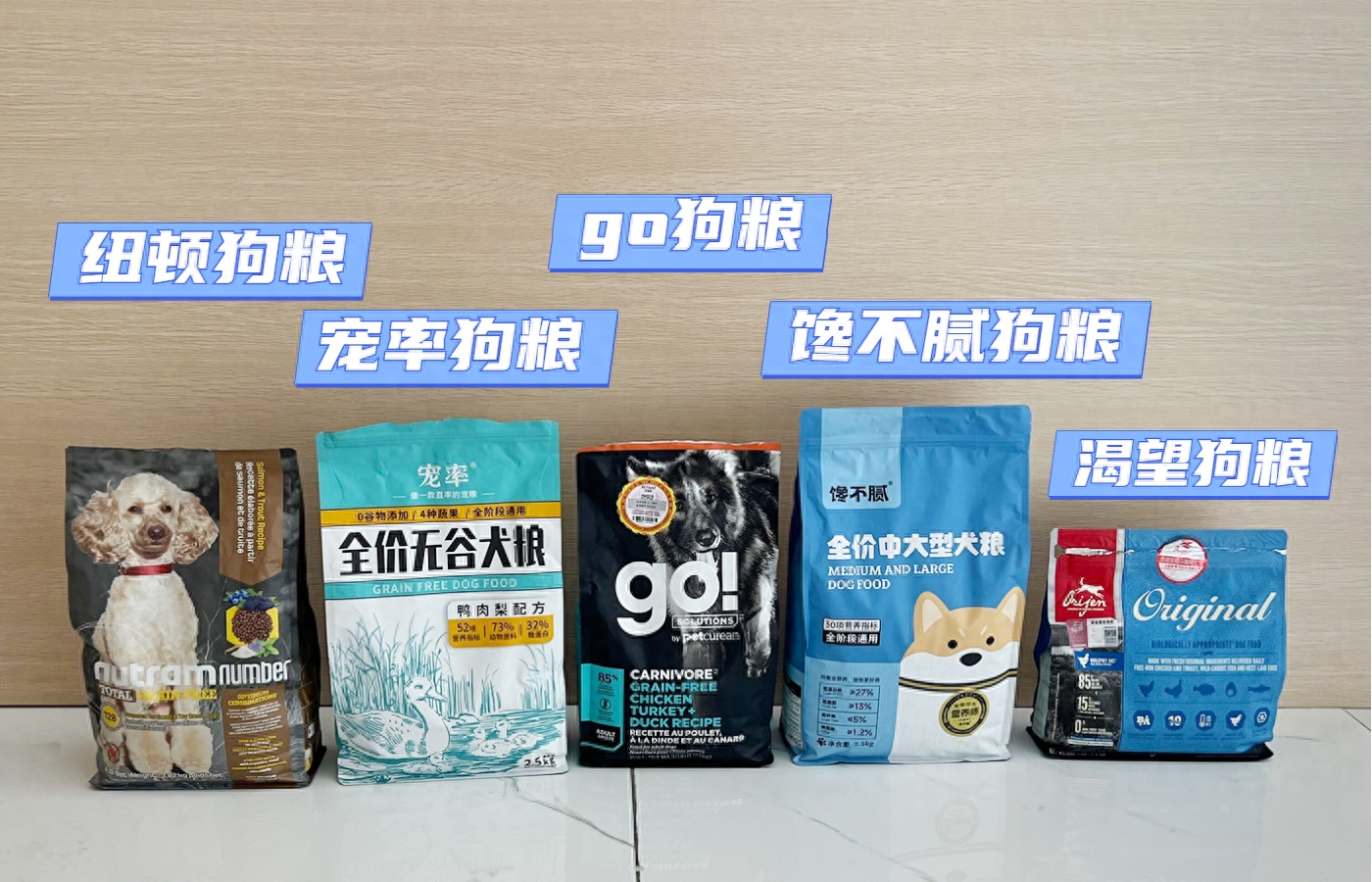 十種脾氣最好的狗_好脾氣的狗_脾氣有點狗是什么意思