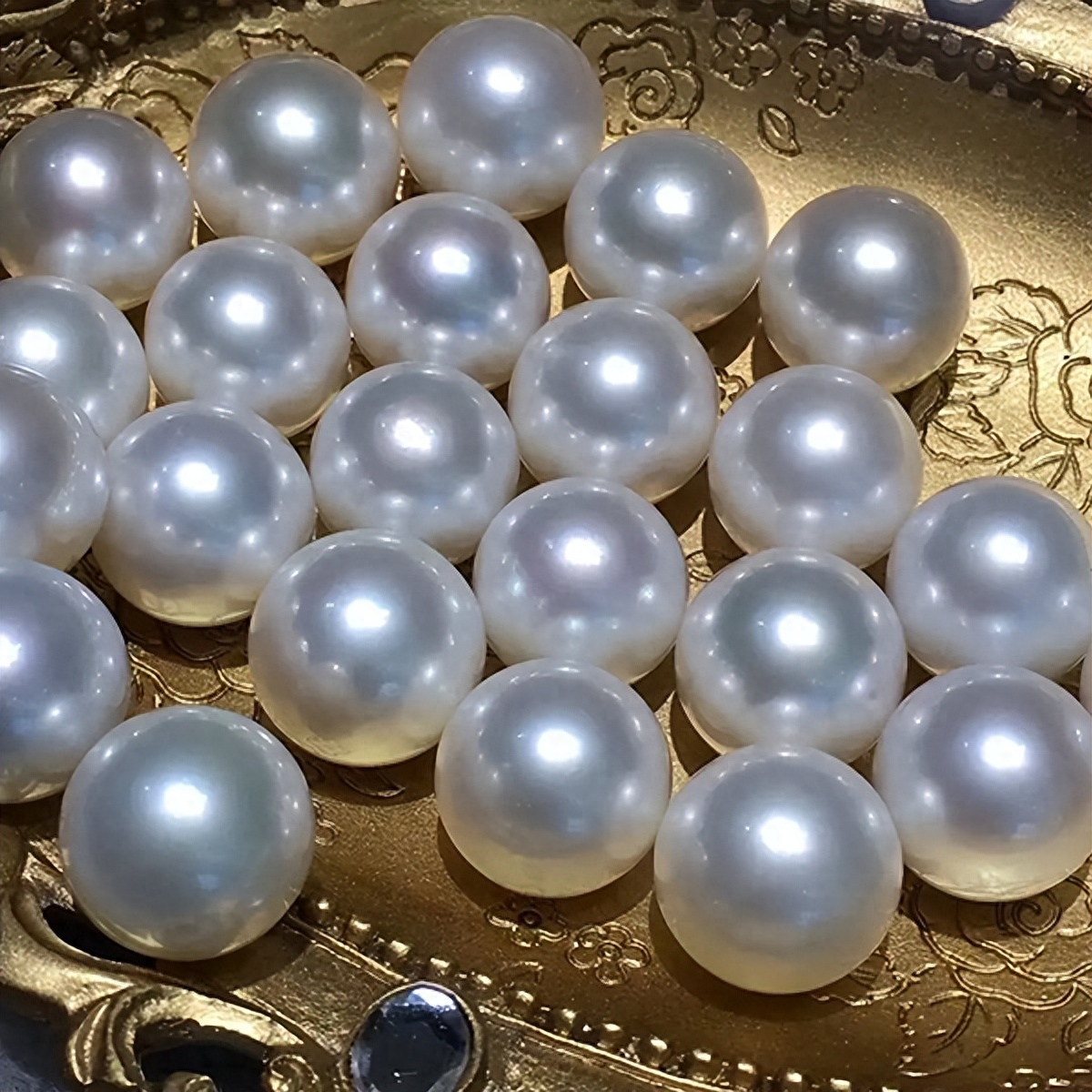 多肉彩虹和紫珍珠區(qū)別_多肉彩虹糖和紫珍珠區(qū)別_彩虹珍珠多肉