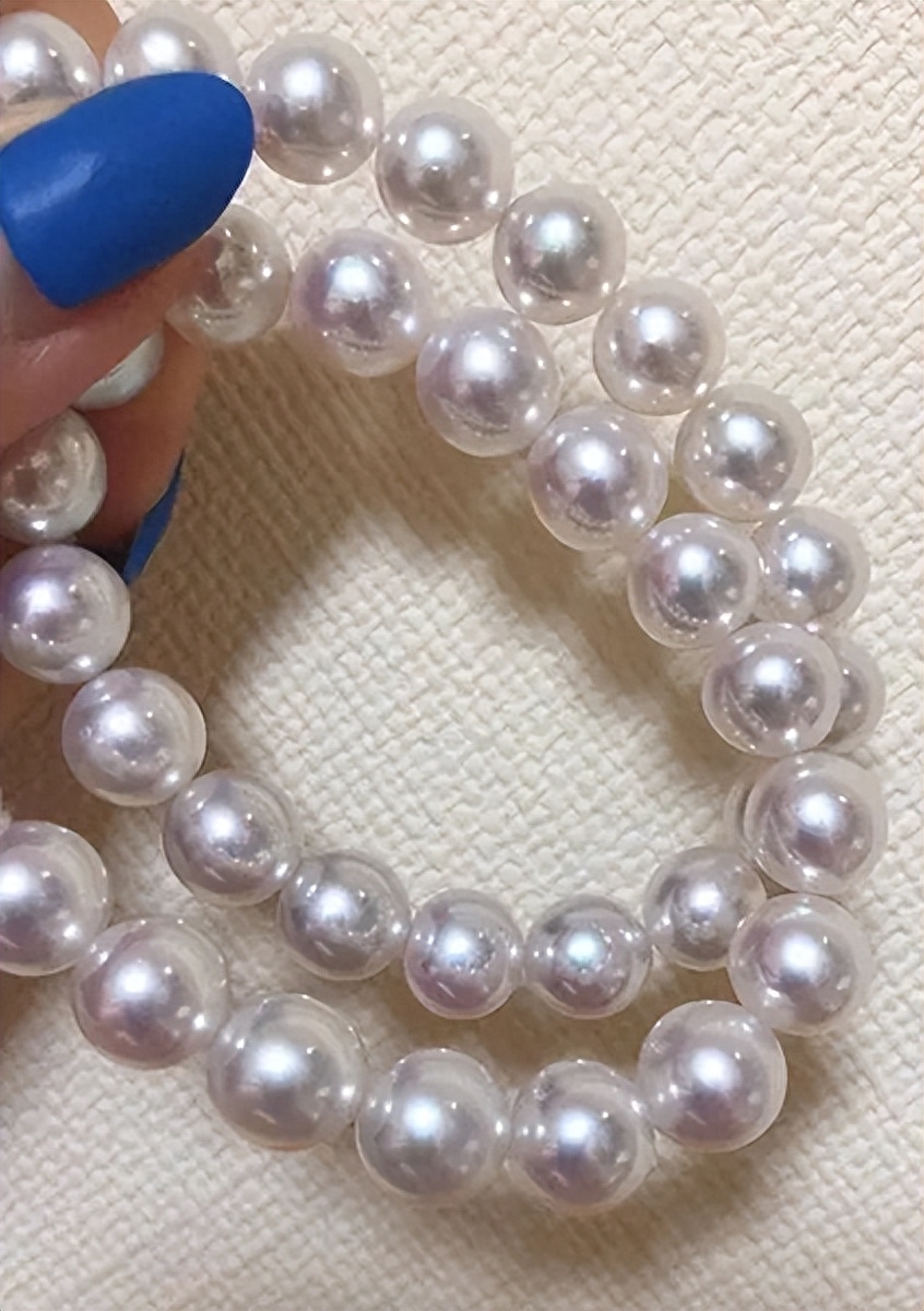 多肉彩虹和紫珍珠區(qū)別_多肉彩虹糖和紫珍珠區(qū)別_彩虹珍珠多肉