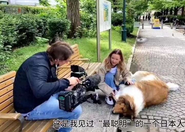 網上買狗可靠嗎_網上買狗可靠嗎_網上買狗可靠嗎