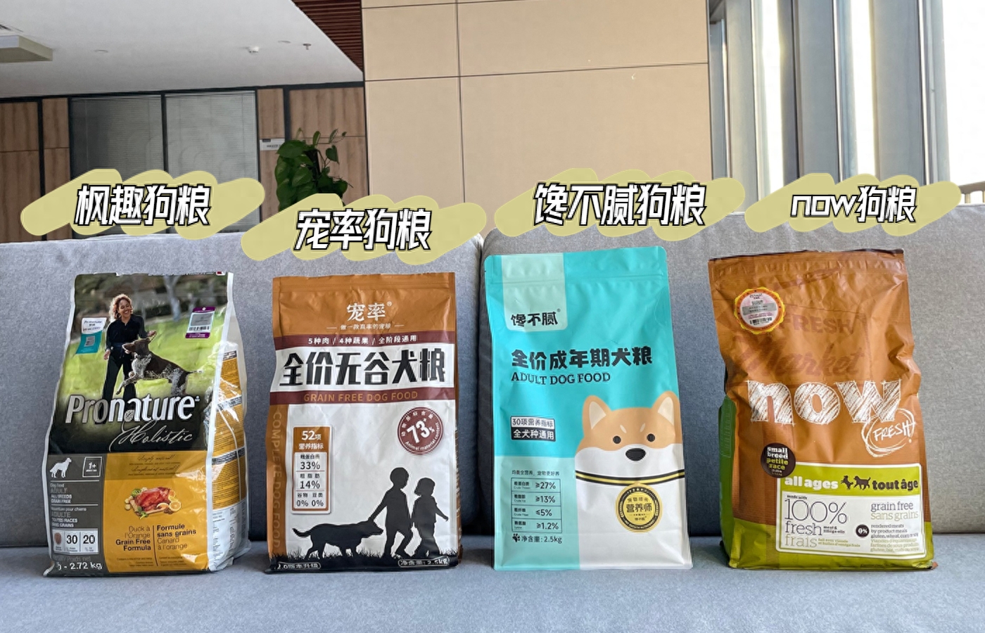 泰迪dog_teddy泰迪幣_(tái)泰迪狗一只多少錢