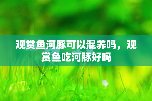 觀賞魚河豚可以混養嗎，觀賞魚吃河豚好嗎