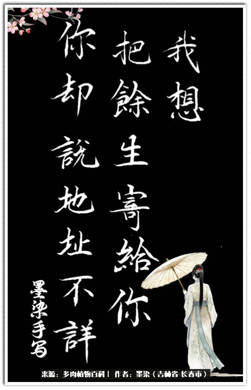 時光清淺，多肉相伴！