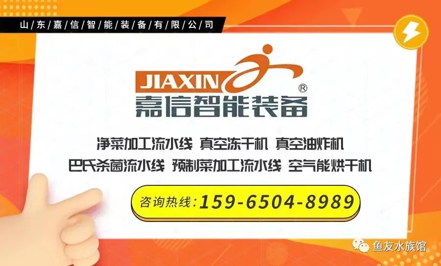 觀賞魚(yú)價(jià)格排名_各種觀賞魚(yú)的價(jià)格與品種_觀賞品種魚(yú)價(jià)格排名