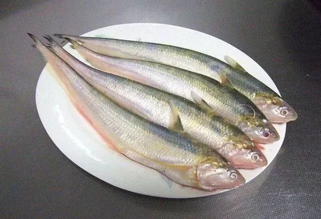 觀賞品種魚(yú)價(jià)格表_觀賞品種魚(yú)價(jià)格排名_各種觀賞魚(yú)的價(jià)格與品種