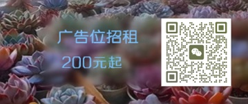 多肉植物雪蓮怎么養