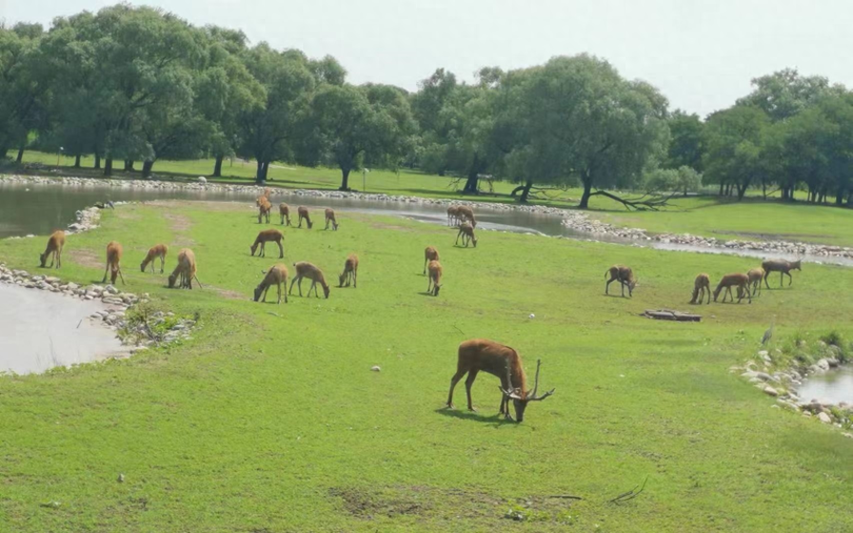 北京親子游攻略_北京親子游攻略_北京親子游攻略