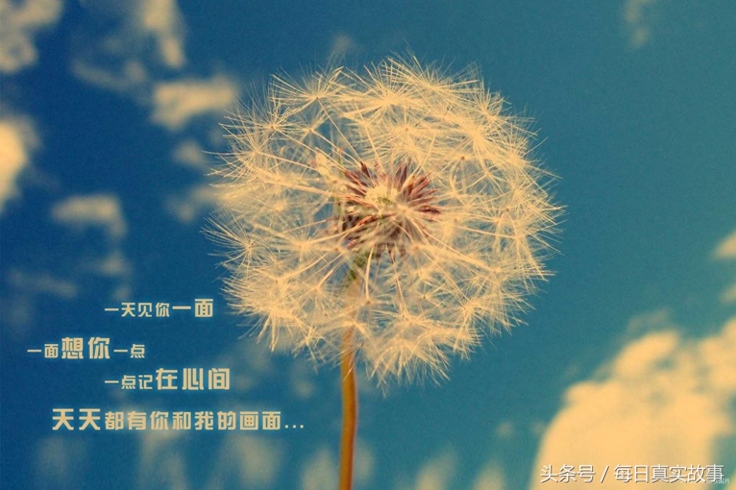 情人節情詩大全_情人節情詩大全_情人節情詩大全