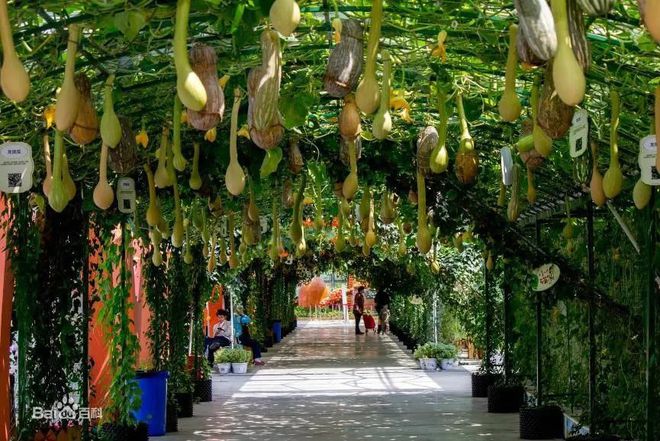 玉林攻略旅游景點推薦_玉林旅游攻略_玉林游玩攻略