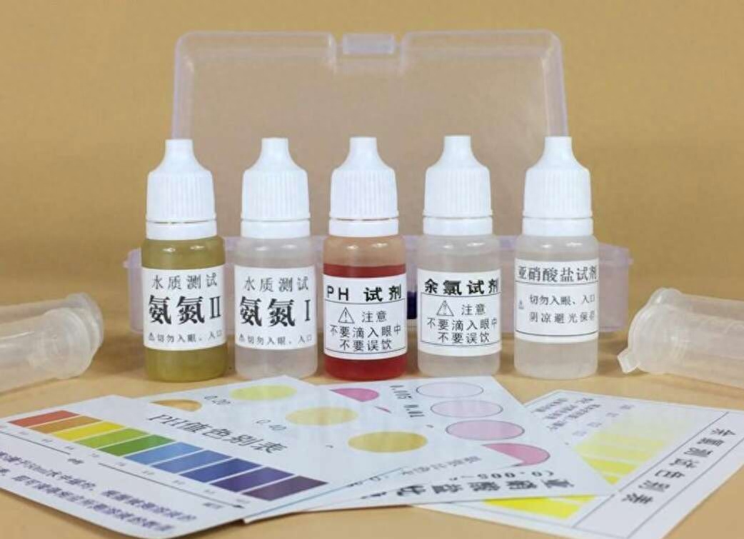 觀賞魚水養好用什么魚_觀賞魚用什么水養最好_觀賞魚水養好用什么