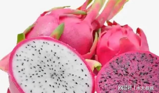 火龍果不能隨便吃？醫生提醒：這5類人或要少食用，不妨了解