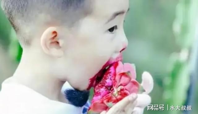 狗可以吃火龍果的功效與作用_狗可以吃火龍果嗎_果狗吃火龍可以驅蟲嗎