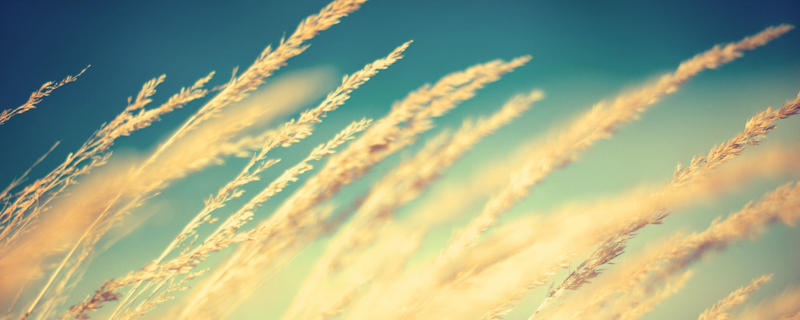 沒有情人的情人節說說心情短語