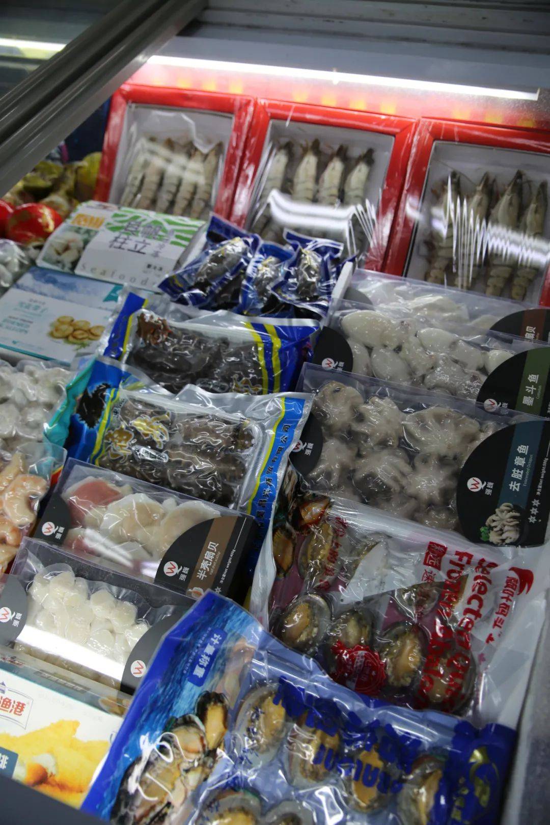 杭州觀賞魚批發市場_杭州賣魚的市場_杭州市觀賞魚批發市場