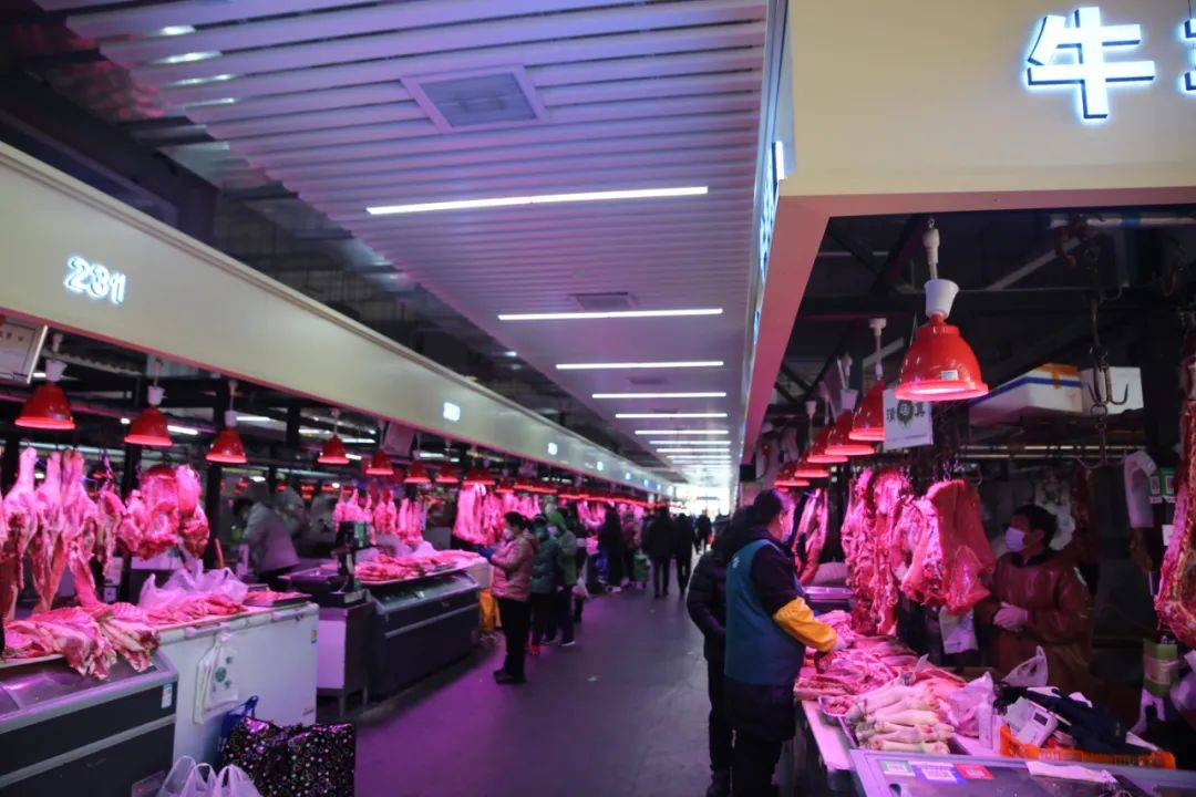 杭州市觀賞魚批發市場_杭州賣魚的市場_杭州觀賞魚批發市場