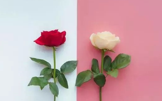 七夕秀恩愛句子簡單 七夕朋友圈秀恩愛說說