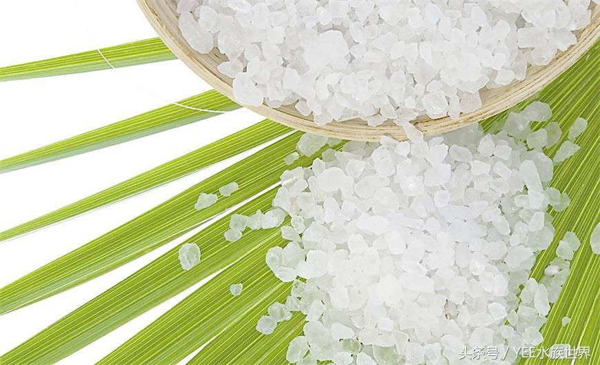 什么觀賞魚不用加熱棒_觀賞魚加熱棒調節最合適溫度_觀賞棒加熱魚用多大的魚