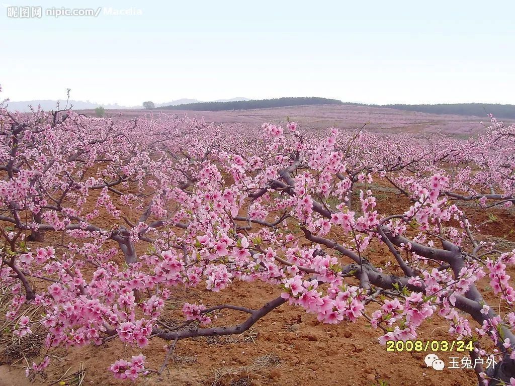 丹東河口景區游玩時間_丹東河口景區一日游攻略_丹東河口旅游攻略必去景點