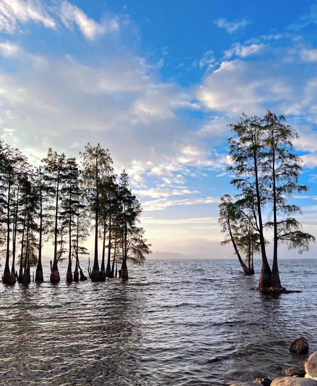 到云南旅游全攻略_去云南旅游線路_云南去旅游攻略