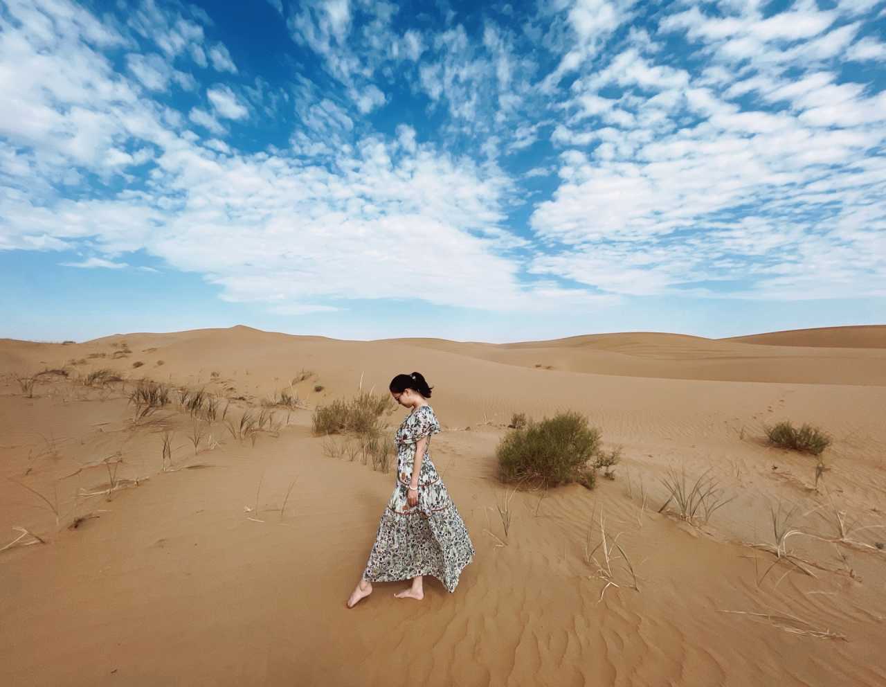 阿拉善左旗旅游攻略必玩的景點_阿拉善左旗介紹視頻_阿拉善左旗景點圖片