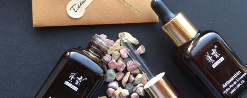 養觀賞魚的小說_養魚的小說_主角養觀賞魚發家的小說