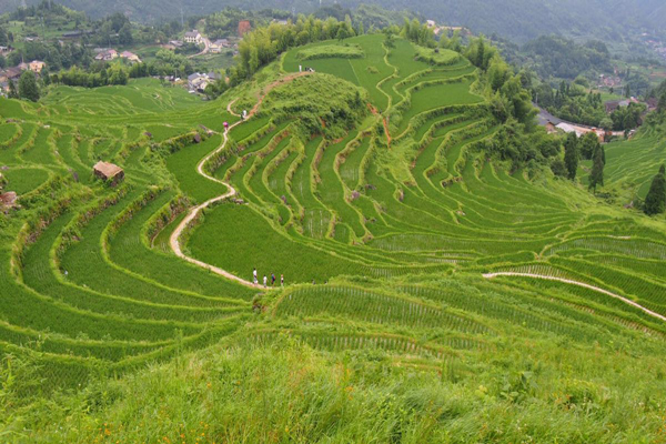 浙江松陽縣旅游_松陽旅游路線_浙江松陽旅游攻略