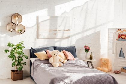 多肉放在辦公室怎么養_辦公桌上放多肉_多肉放辦公桌左邊還是右邊