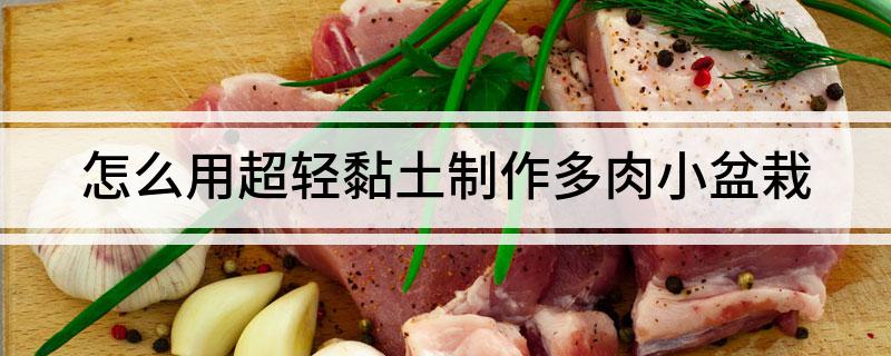 怎么用超輕黏土制作多肉小盆栽