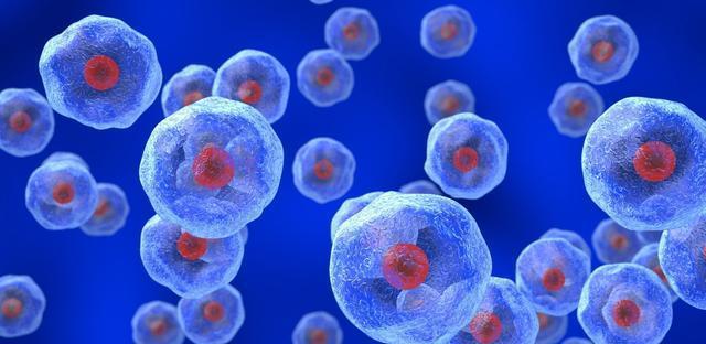 觀賞魚鹽一粒多少克_食鹽魚_觀賞魚鹽