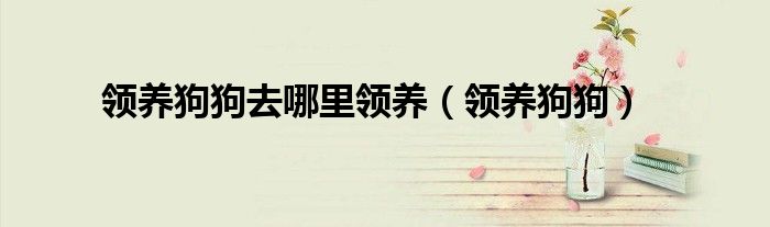 領養狗狗去哪里領養（領養狗狗）