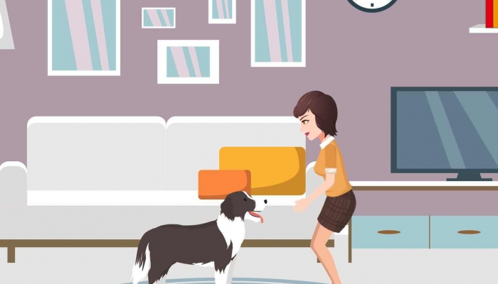 好聽狗名字母狗_好聽的狗名字_好聽狗名字母中文