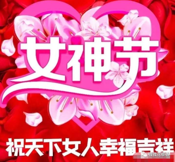 三八婦女節(jié)語句_婦女節(jié)語錄_婦女節(jié)的話語暖心簡(jiǎn)短
