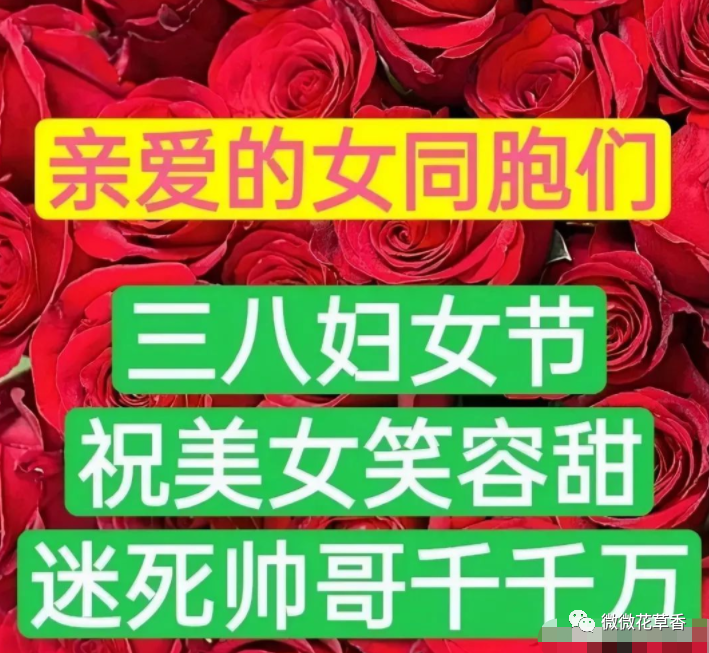 婦女節(jié)語錄_婦女節(jié)的話語暖心簡(jiǎn)短_三八婦女節(jié)語句