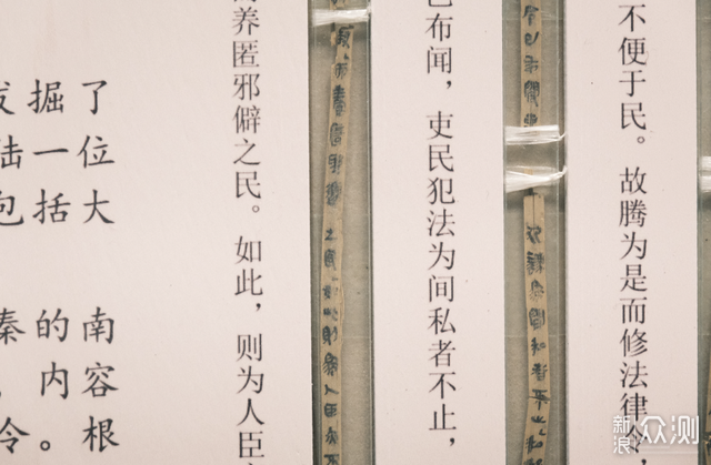 武漢觀賞魚市場_武漢最大觀賞魚市場_武漢魚市場在哪里