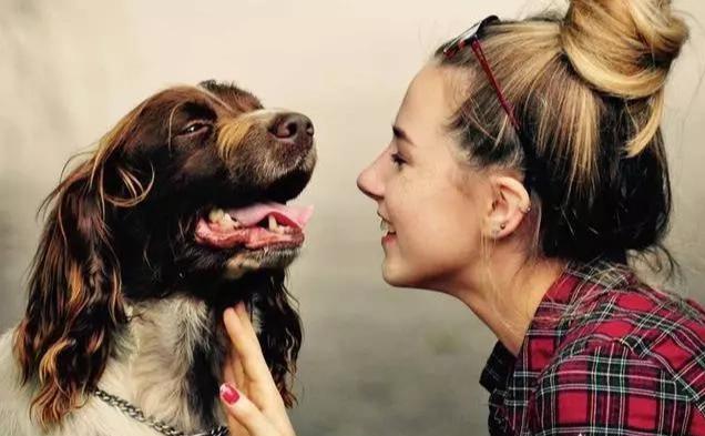 狗狗聽得懂人說話嗎？它并不能理解真正意思