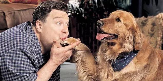 狗狗能聽懂人說話嗎_狗能聽懂人說話不_狗狗能聽懂人說的話