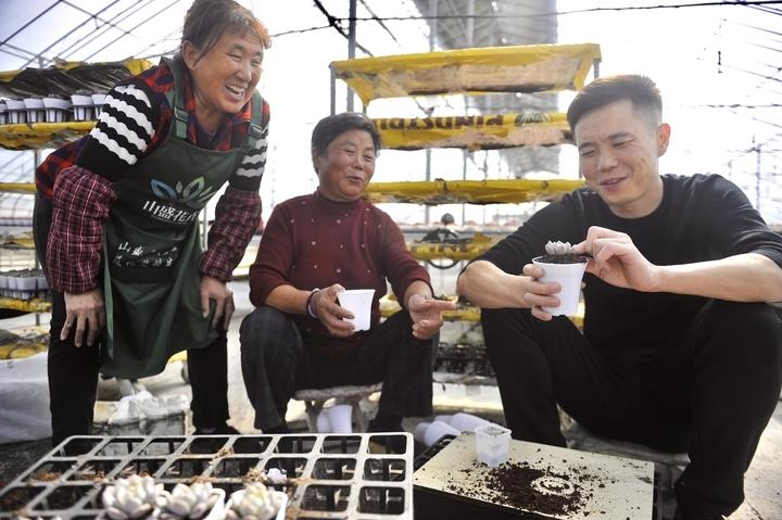 走進(jìn)熊掌柜的“多肉王國(guó)”，瞅一眼瞬間被治