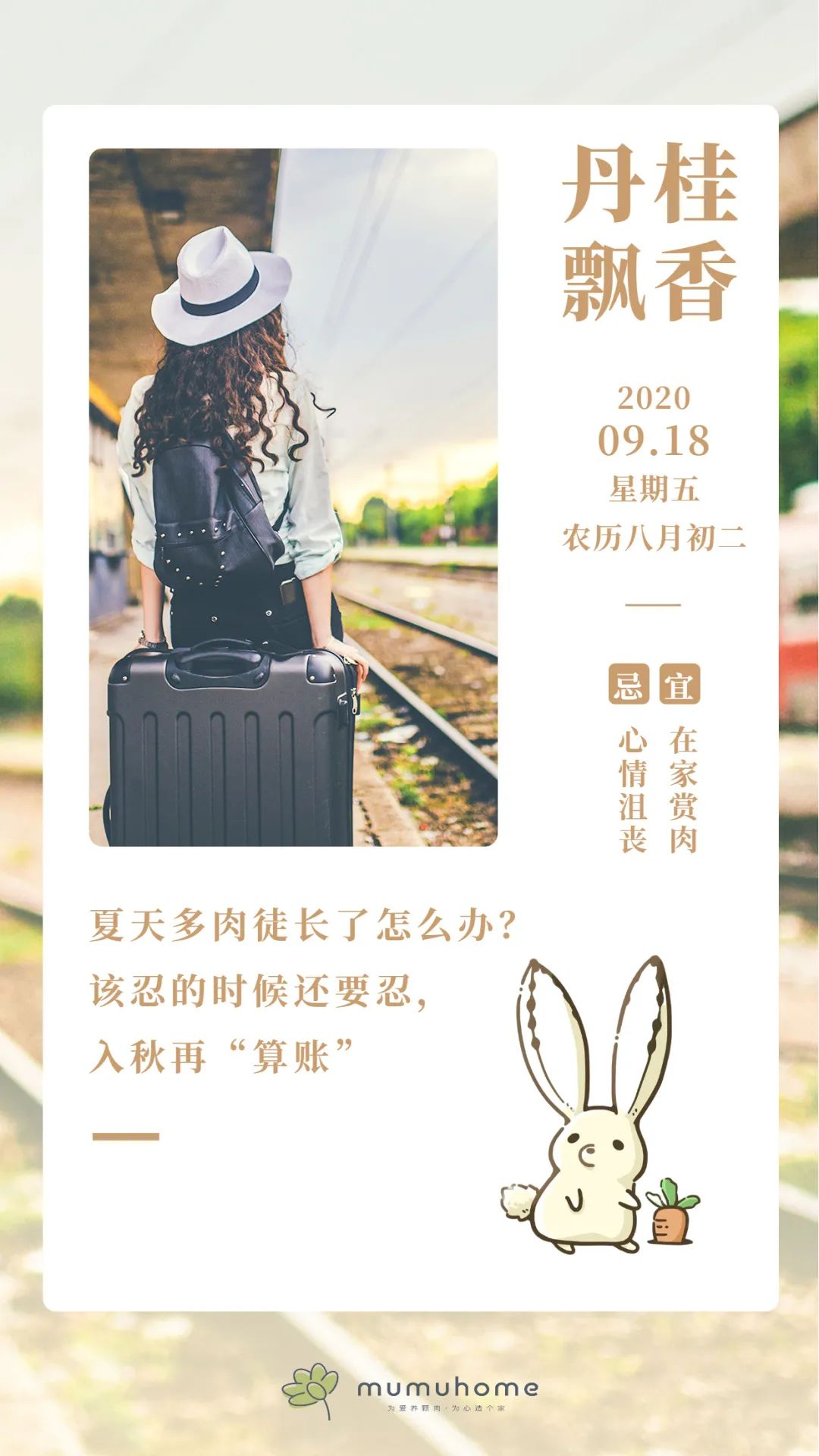 夏天多肉徒長不可怕，初秋及時“拯救”，深