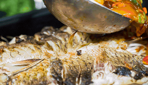 觀賞鯊淡水魚能吃嗎_淡水觀賞鯊魚的種類大全_淡水鯊觀賞魚